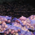 Картофель оптом в Рязанской области